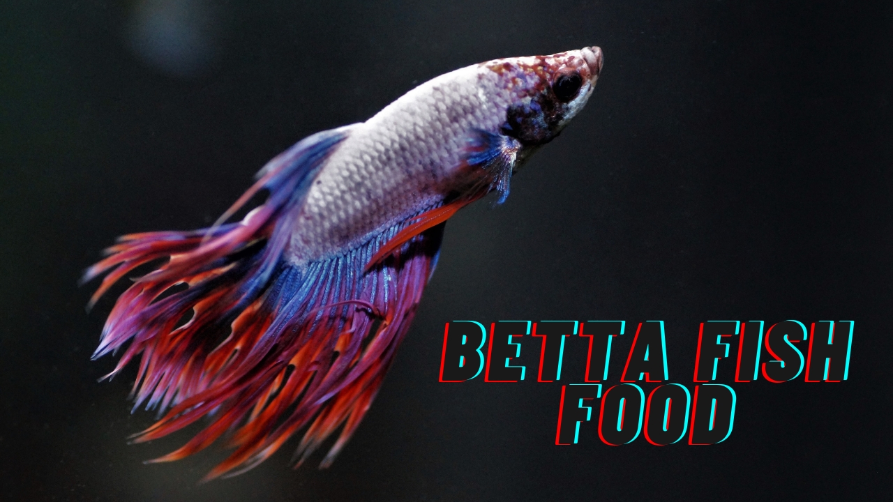 Betta Fish Food